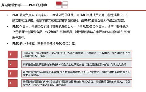 高效 龙湖 pmo 项目管理部 体系研究