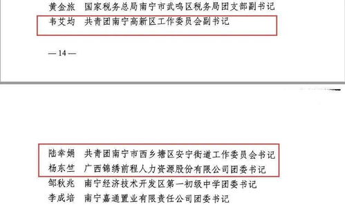 高新区一批先进青年和优秀团组织荣获自治区 南宁市2020年度 两红两优 表彰