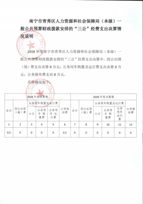 南宁市青秀区人力资源和社会保障局(本级)一般公共预算财政拨款安排的“三公”经费支出决算情况说明